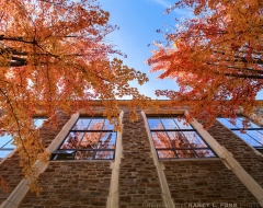 211025_hml_campus
