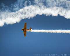 Sky & Plane