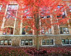 Fall