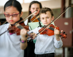 Violinists