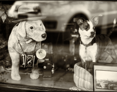 Boo-Boo & Gypsy