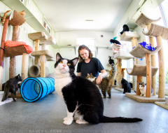 Herkimer County Humane Society